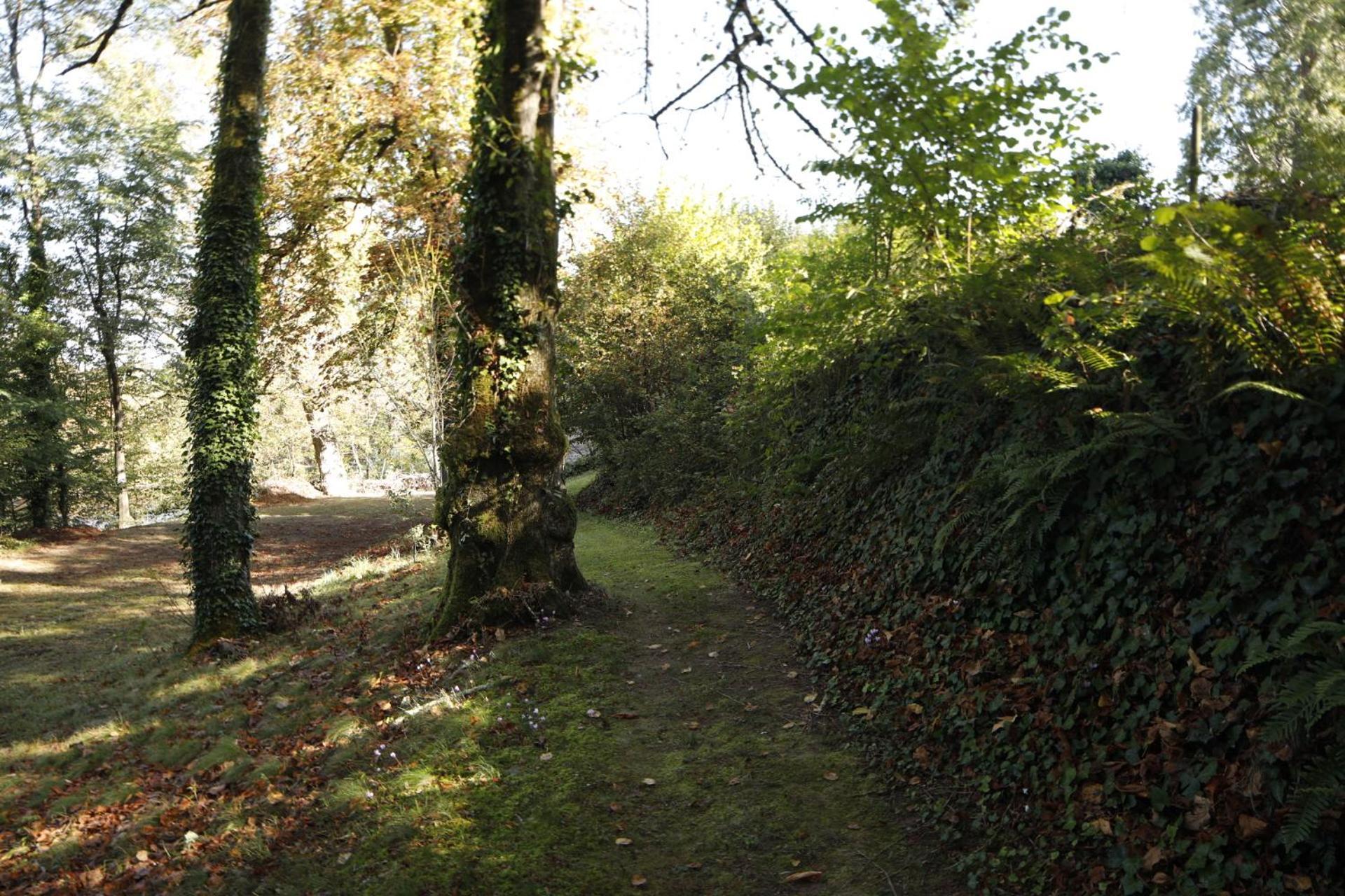 ホテル French Correze Moulin Bleu Saint-Pantaléon-de-Larche エクステリア 写真